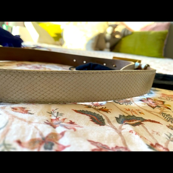 Authentic Python skin Dolce and Gabbana belt - Picture 4 of 5